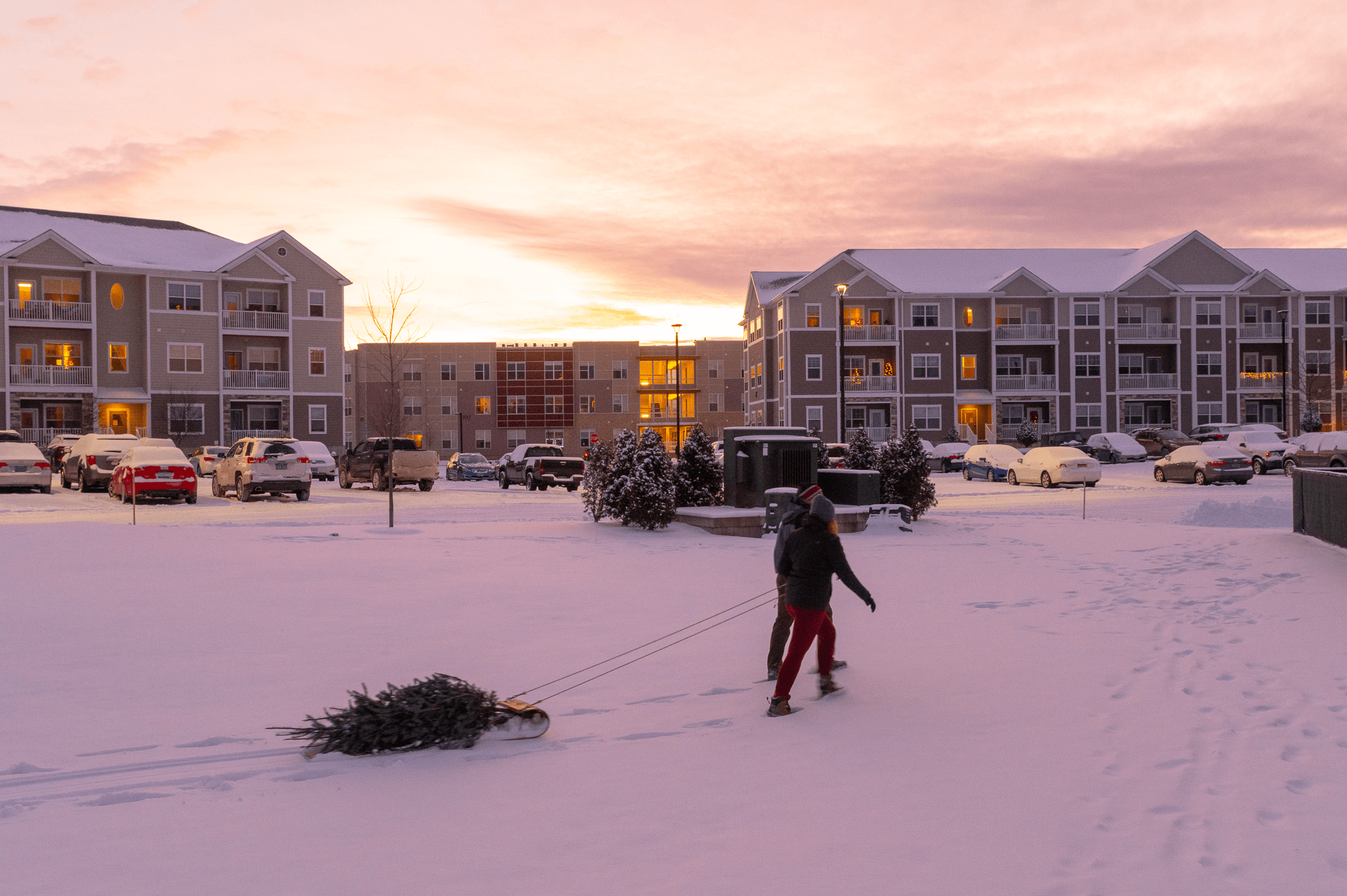 Two peoples pulling a Christmas Tree in the snow with Finney Crossing Apartments in the background.